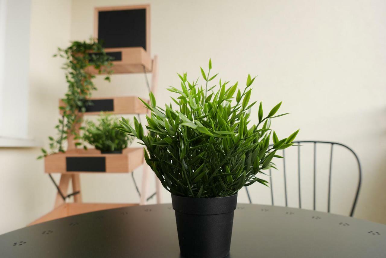 Apartament Jantarowa Λούμπλιν Εξωτερικό φωτογραφία
